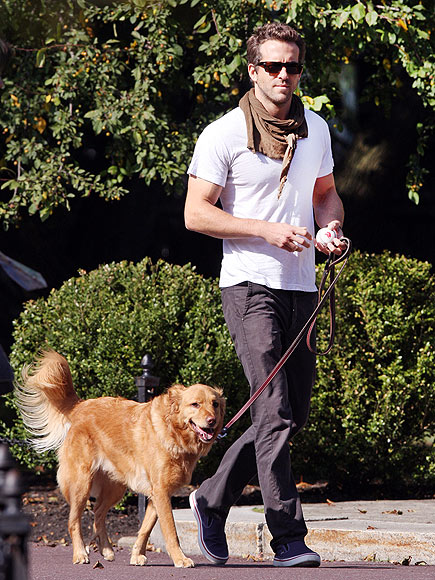 PARK IT
 photo | Ryan Reynolds
