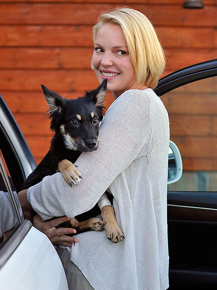 A DOG'S LIFE  photo | Katherine Heigl
