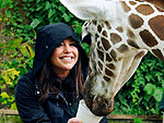 Fun! Rachael Ray Feeds a Giraffe
