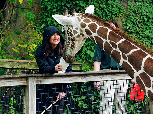 Rachael Ray Feeds a Giraffe