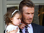 Hollywood's Sexiest Family Guys | David Beckham