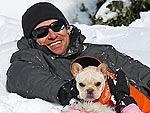 Hollywood Puppy Love