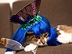 Cheers! Pets Toast the New Year