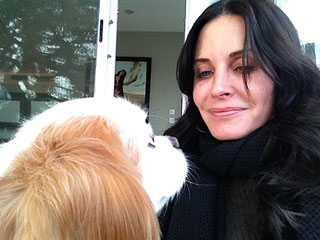 Courteney Cox Tweets Intimate Details of Life with Dog | Courteney Cox