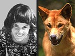 Inquest Reopens Infamous 1980s Australian Dingo-Baby Case