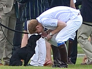 Is Lupo the Luckiest Dog In the World? | Prince Harry
