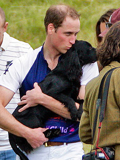 Prince William Kisses Lupo at Polo Match with Kate