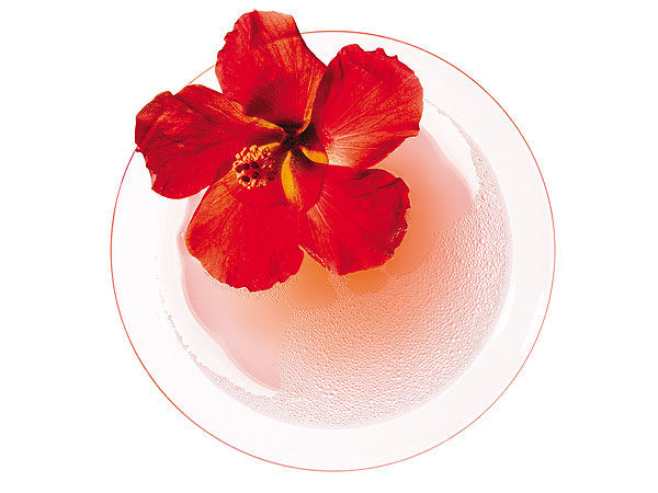 Holiday Drink Recipes: Seasonal Fruit Cocktails to Enjoy| Christmas, Hanukkah, Holidays, Celebrity Diners Club