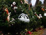 PHOTO: 26 Christmas Trees for 26 Killed at Sandy Hook Elementary