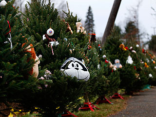 PHOTO: 26 Christmas Trees for 26 Killed at Sandy Hook Elementary