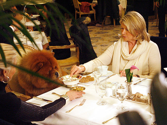 MARTHA STEWART photo | Martha Stewart