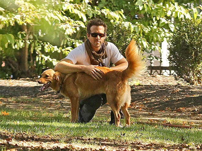 PARK IT photo | Ryan Reynolds