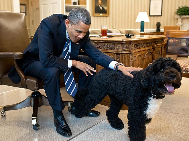 DAD-IN-CHIEF photo | Bo Obama