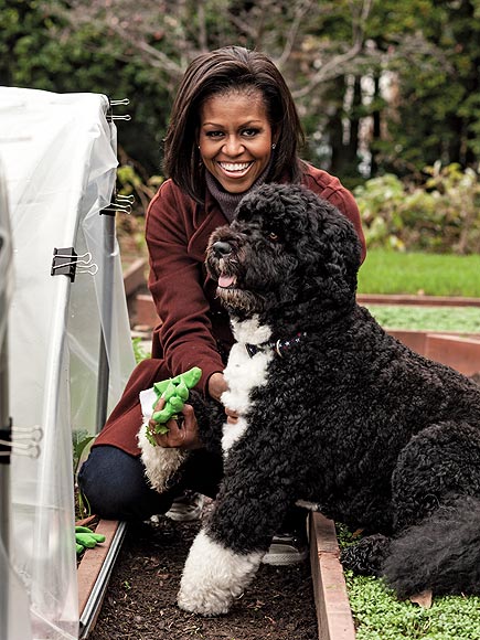 http://img2.timeinc.net/people/i/2012/pets/gallery/bo-birthday/bo-obama-3-435.jpg