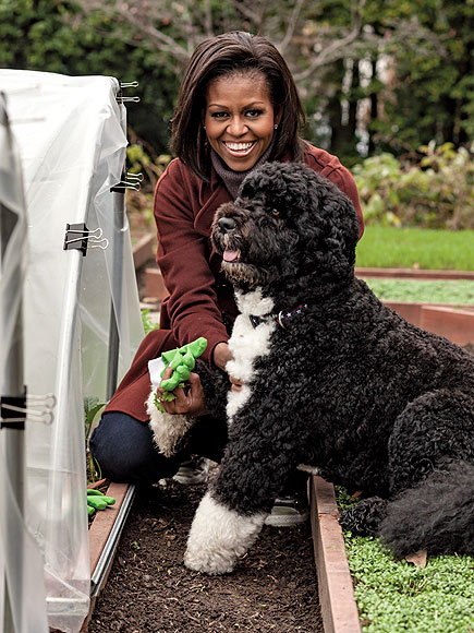 HAPPY HARVEST photo | Bo Obama, Michelle Obama