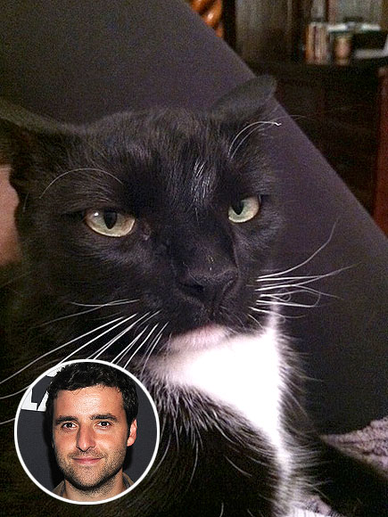 DAVID KRUMHOLTZ photo | David Krumholtz