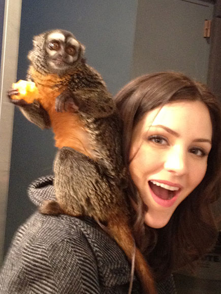 KATHARINE MCPHEE photo | Katharine McPhee