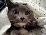 April's Cutest of the Cute!