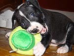 August's Cutest of the Cute!