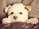 June's Cutest of the Cute!