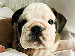 May's Cutest of the Cute!