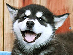 September's Cutest of the Cute!