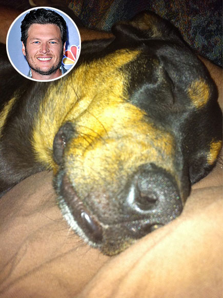 BLAKE SHELTON photo | Blake Shelton