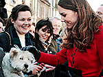 Kate's Animal Instincts! | Kate Middleton, Prince William