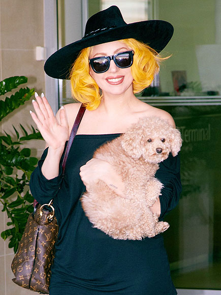 ORANGE YOU GLAD  photo | Lady Gaga