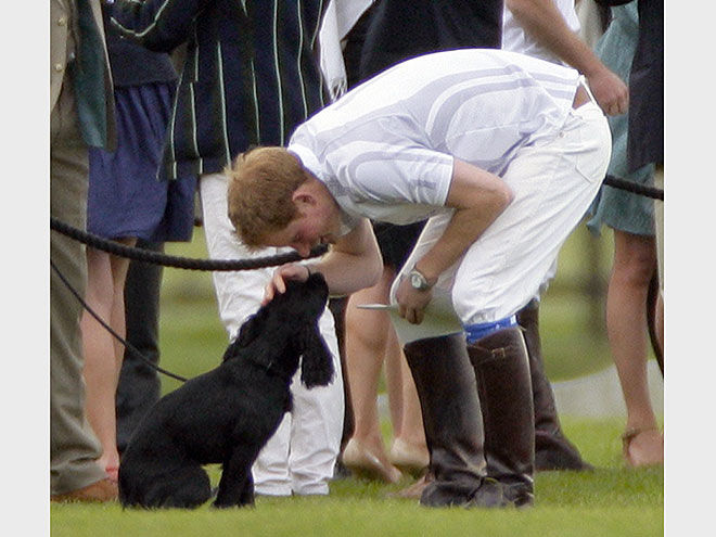 DASHING DUO photo | Prince Harry