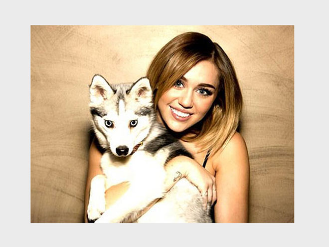 PICK-ME-UP photo | Miley Cyrus