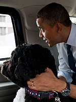 President Obama's Guide to Animals | Bo Obama, Barack Obama