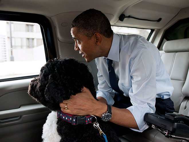 INSIDE TRACK photo | Bo Obama, Barack Obama