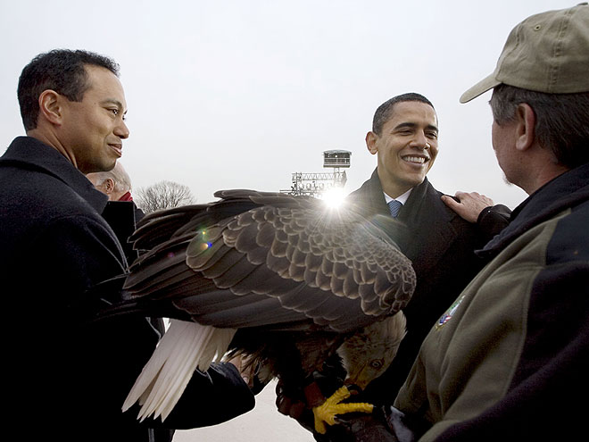 FREE AS A BIRD photo | Barack Obama