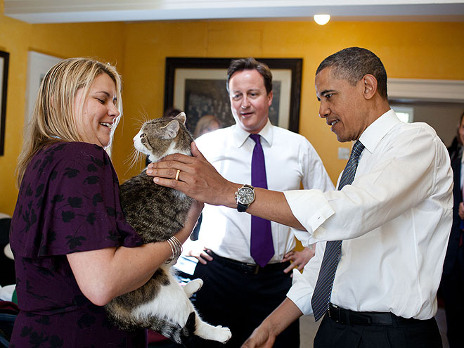 MEOW DO YOU DO? photo | Barack Obama