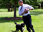 President Obama's Guide to Animals | Bo Obama, Barack Obama