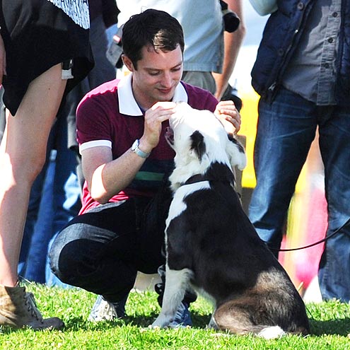 ELIJAH WOOD photo | Elijah Wood