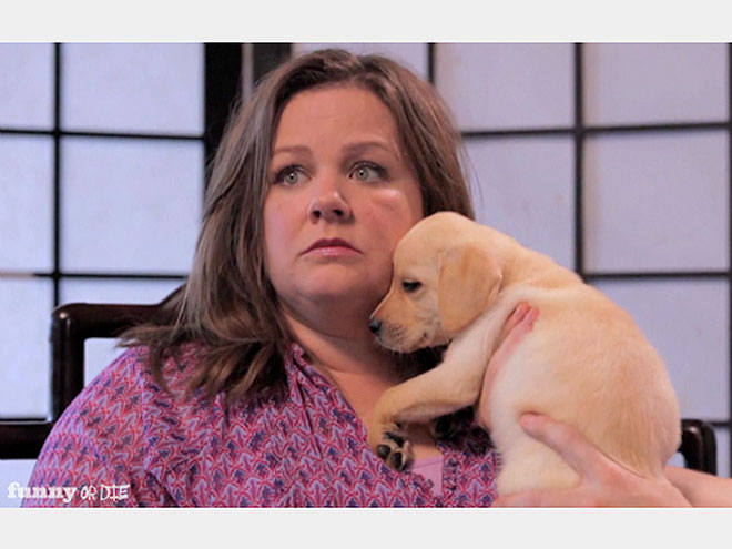 MELISSA MCCARTHY photo | Melissa McCarthy