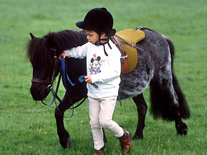 MY LITTLE PONY photo | Prince William
