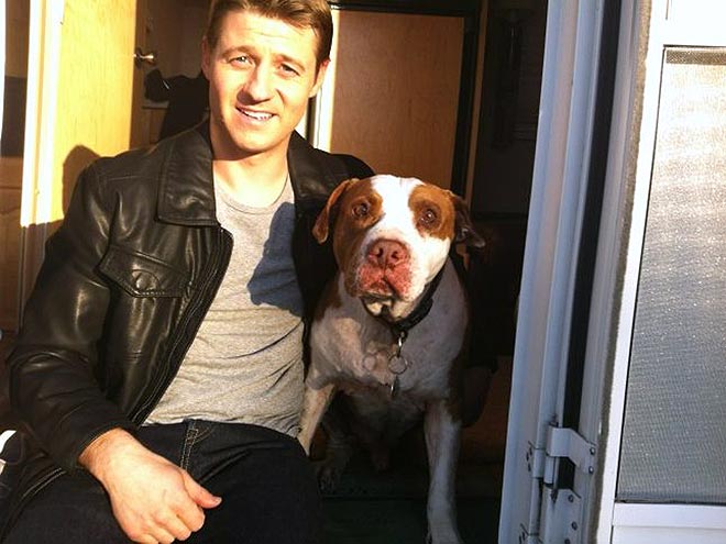 BEN MCKENZIE photo | Benjamin McKenzie