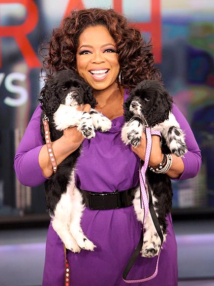 OPRAH WINFREY photo | Oprah Winfrey