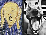 Pets Do 'The Scream'