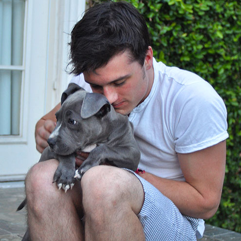 JOSH HUTCHERSON photo | Josh Hutcherson