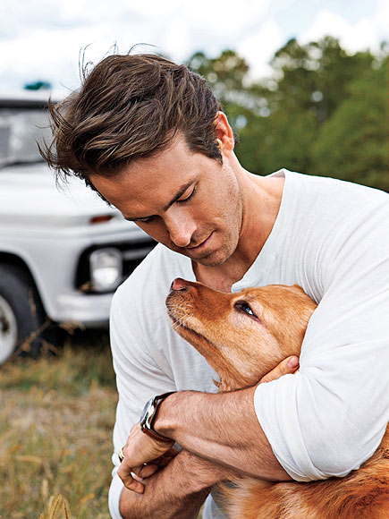 ryan-reynolds-435.jpg