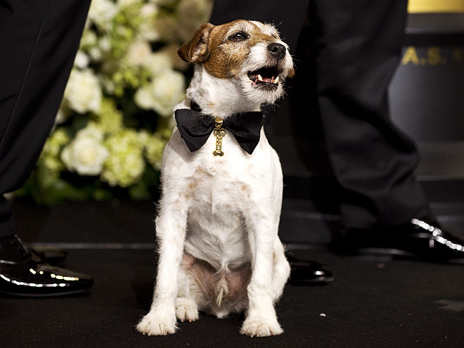 DOG OF THE HOUR photo | Uggie