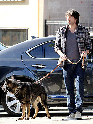 Garner-Afflecks Enjoy New Year's Day Dog Walk| Stars and Pets, Dogs, Ben Affleck, Jennifer Garner, Violet Affleck