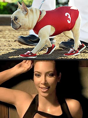 Purebred Breeders LLC | Dog replaces Kim Kardashian Purebred Breeders LLC | Dog replaces Kim Kardashian