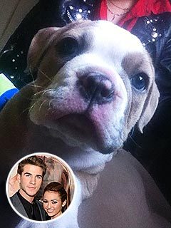 What Did Miley Cyrus Get Liam Hemsworth for His Birthday? | Liam Hemsworth, Miley Cyrus
