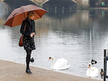 Birds-Eye View! Taylor Swift Makes Feathered Friends in London| Stars and Pets, Les Miserables, Taylor Swift