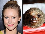 Kristen Bell Loves Sloths: 3 Adorable Videos | Kristen Bell